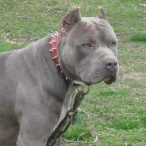 Meet your Posher, Marcus