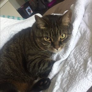 Meet your Posher, Elizabeth