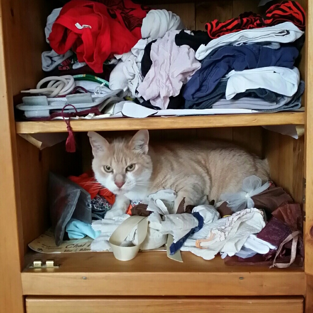 Meet your Posher, Kathryn