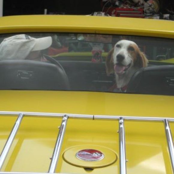 Meet your Posher, Ellen - Picture 1 of 1