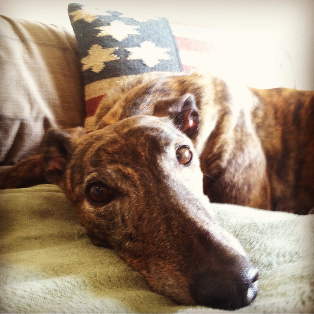 Meet your Posher, Jospeh