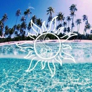 Meet your Posher, Bailey