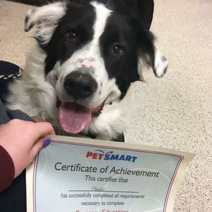 Meet your Posher, Michelle