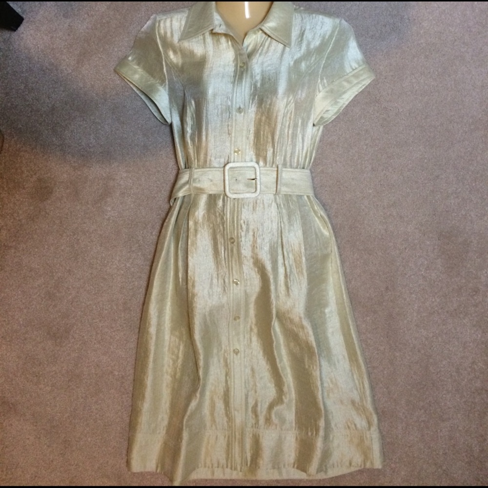 Adrianna Papell NWOT Celadon Green Shirtdress 6