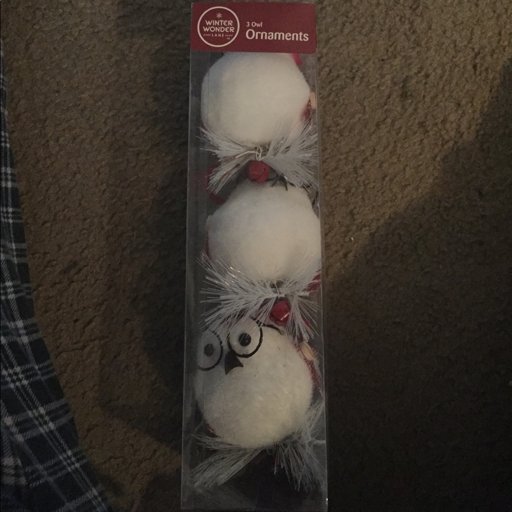 Cute owl ornaments never opened 😊