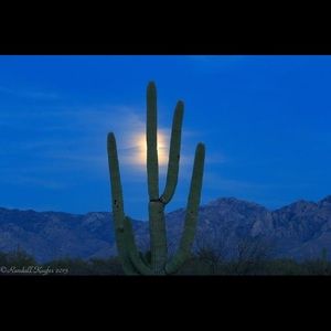 Going out of town May 30 though June 17,2017🌵🌵🌵