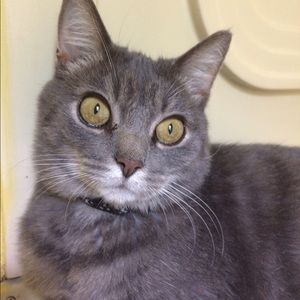 Meet your Posher, Cecilia