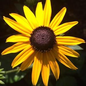 Meet your Posher, Beverly