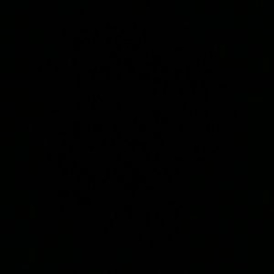 Meet your Posher, Bj