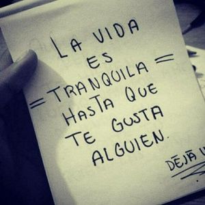 Meet your Posher, Angelica