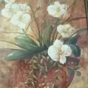 Meet your Posher, Cristobalina