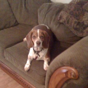 Meet your Posher, Lorenda