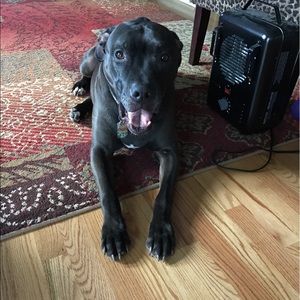 Meet your Posher, Danielle