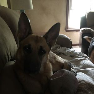 Meet your Posher, Megan