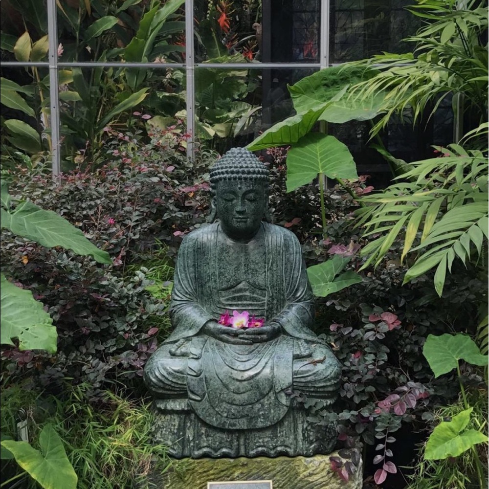 Meet your Posher, Vee