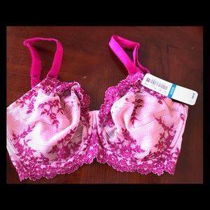 Wachol Pink Lace Bra