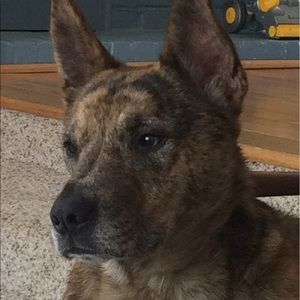 Meet your Posher, Julian