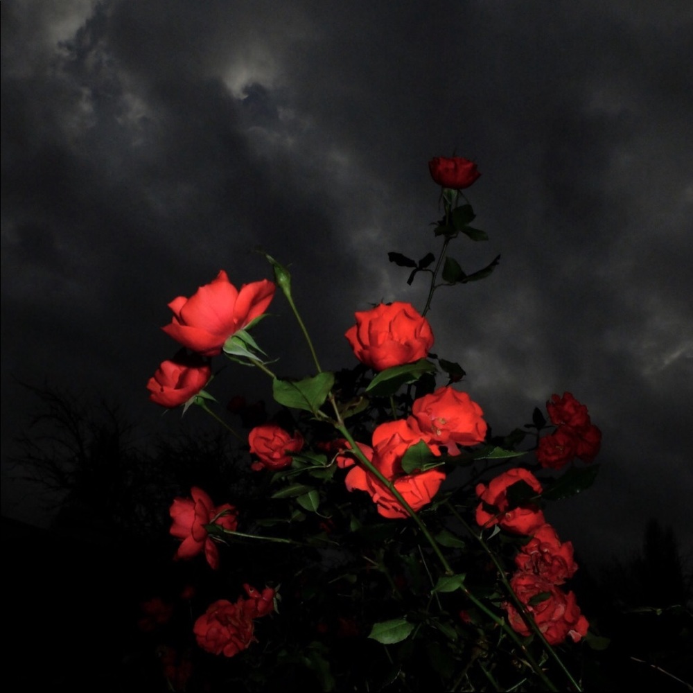 Meet your Posher, Tay