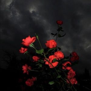 Meet your Posher, Tay