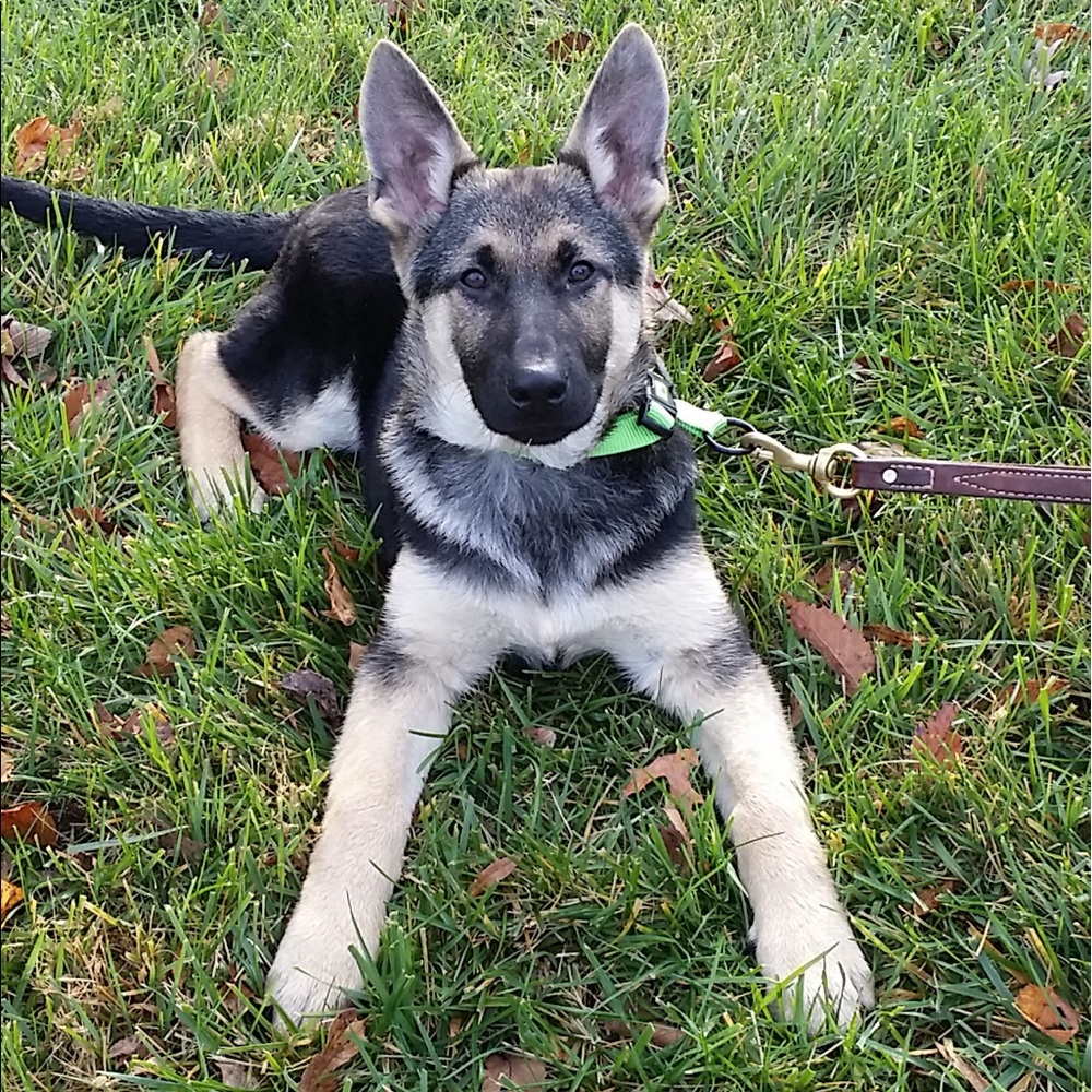 Meet your Posher, Michelle