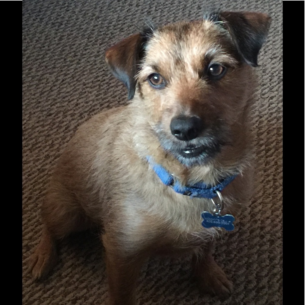 Meet your Posher, Beckie