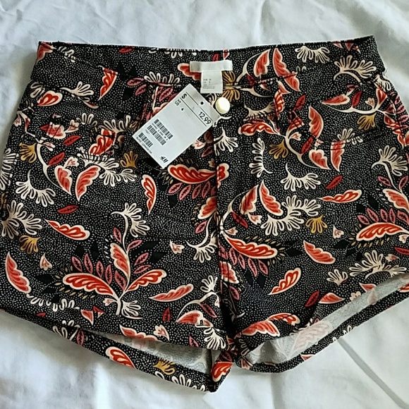 Shorts - Picture 1 of 3