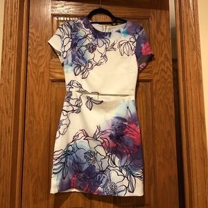 Tobi Floral Dress