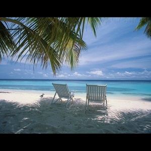 Meet your Posher, Lovie