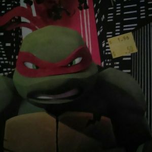 Meet your Posher, Ann