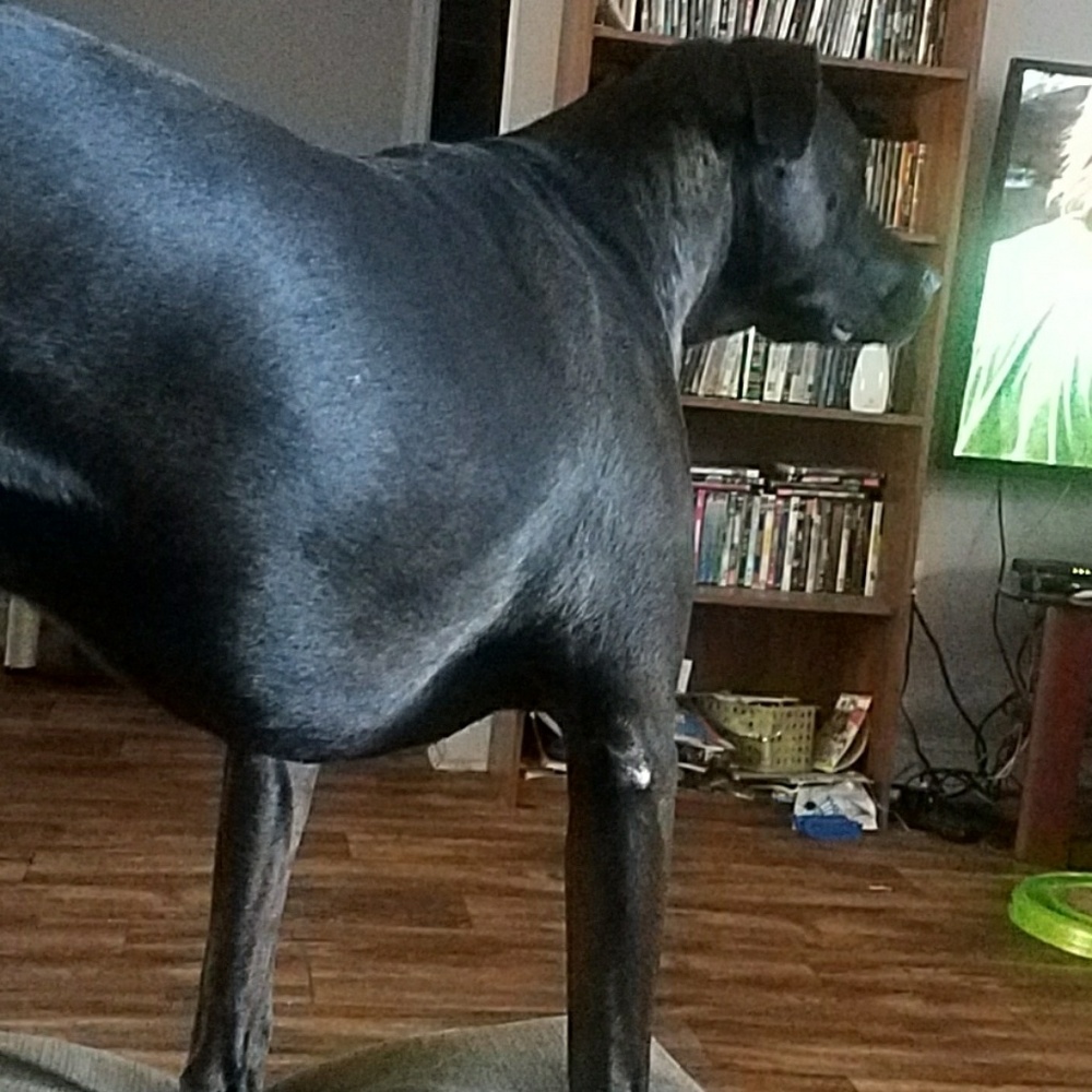 Meet your Posher, Rebecca