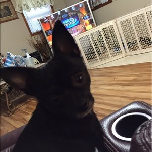 Meet your Posher, Debbie