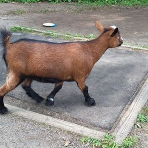 Meet your Posher, Nate