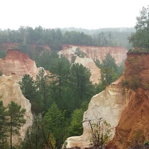 Meet your Posher, Genie