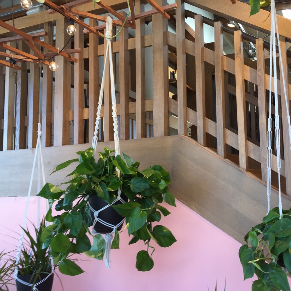 Meet your Posher, Sherry