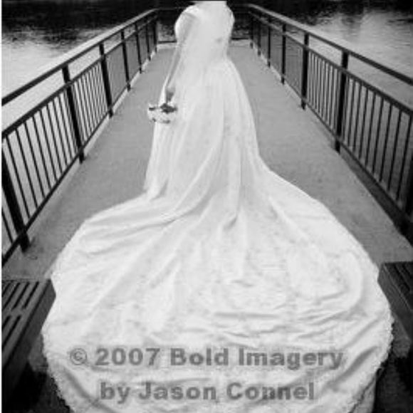 REDUCED!!!  Fairytale Wedding Dress - Picture 8 of 8