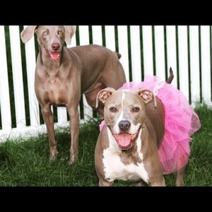 Meet your Posher, Natalie