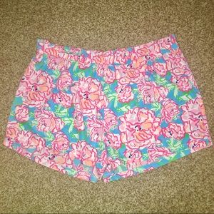 Mudpie boutique shorts