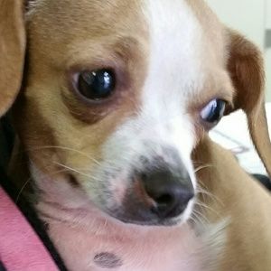 Meet your Posher, Ana