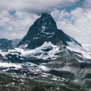 Meet your Posher, Jane