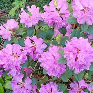 Meet your Posher, Lynn