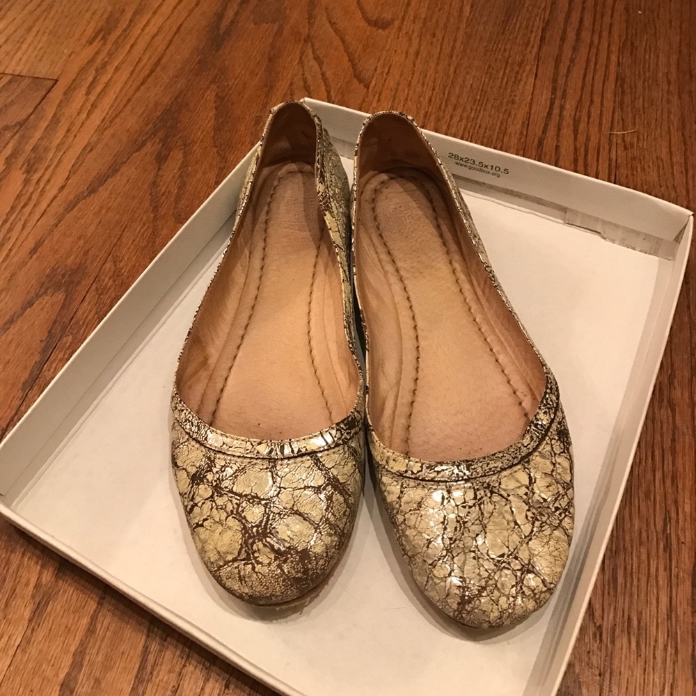 Frye multi silver Carson ballet flats well loved