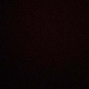 Meet your Posher, Lindzi