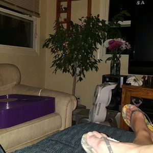 Meet your Posher, Penny