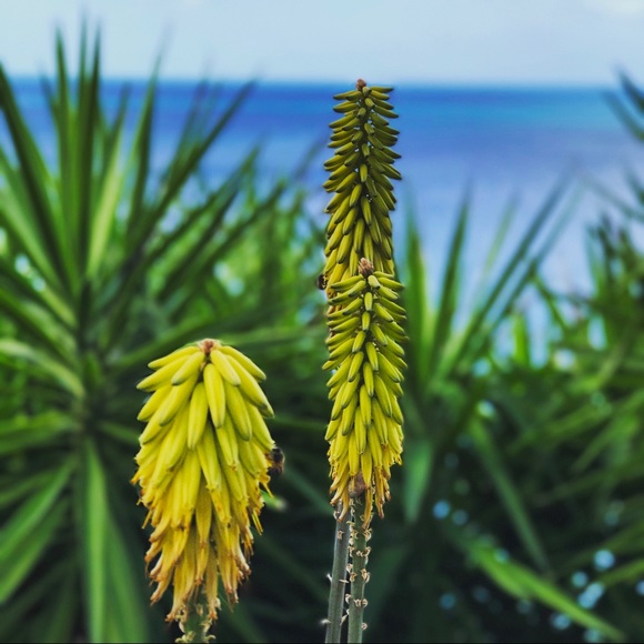 Meet your Posher, Stephanie - Picture 2 of 5