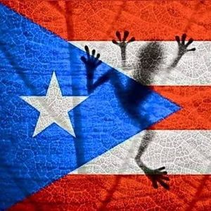 Meet your Posher, Dolores