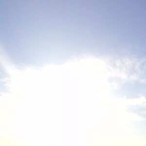 Meet your Posher, Lance