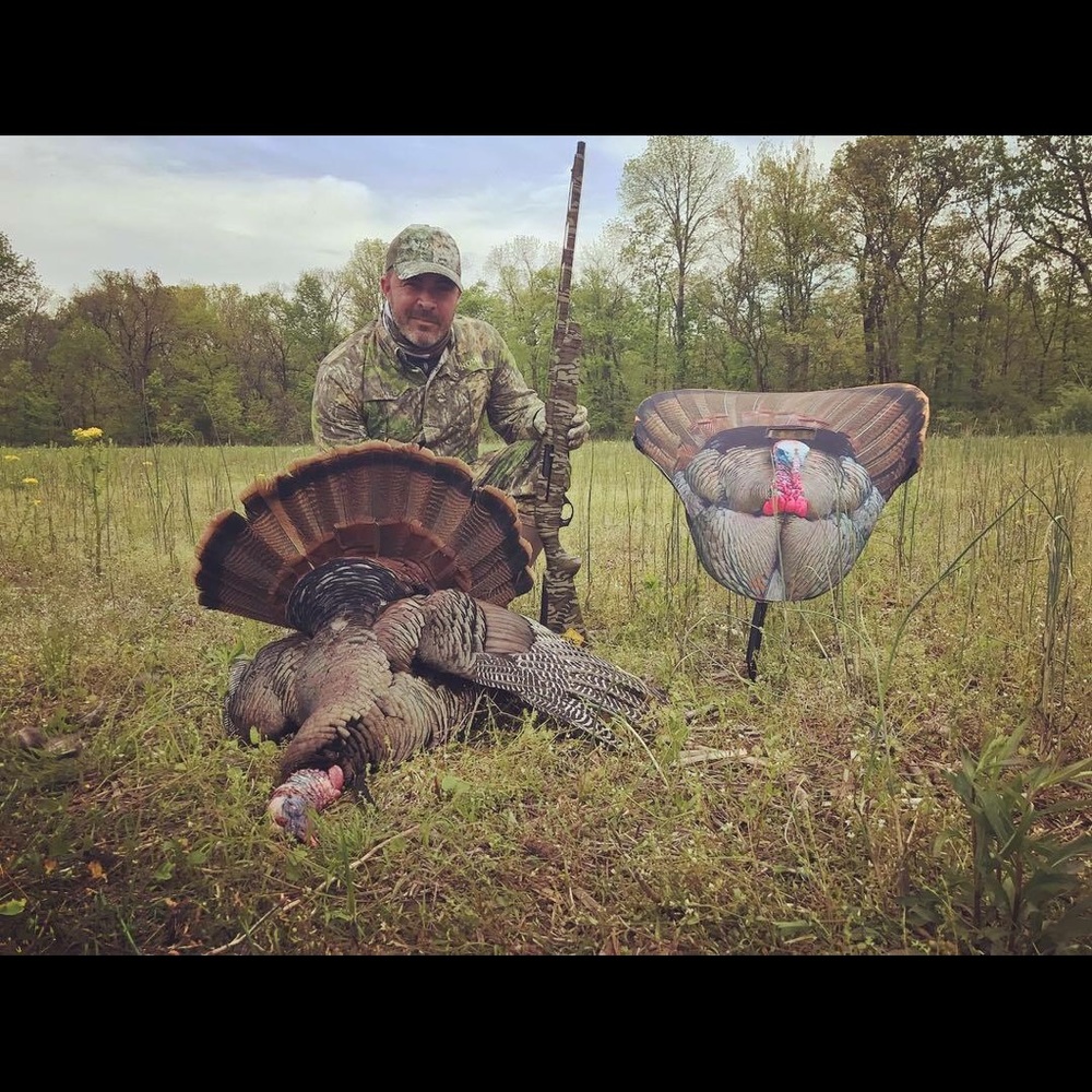 Meet your Posher, Liz