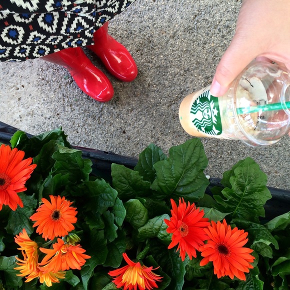 Meet your Posher, Danielle - Picture 6 of 8