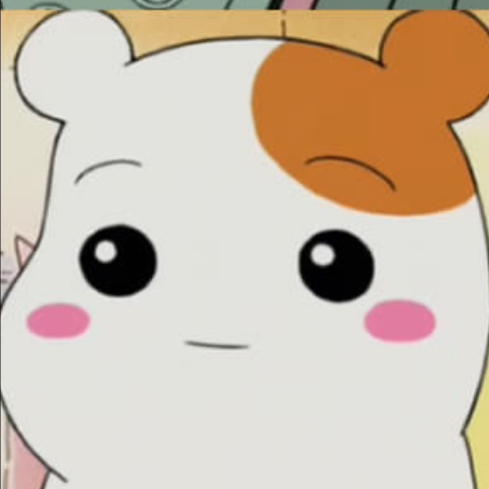 Meet your Posher, Harrison