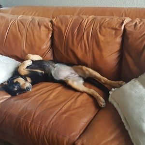 Meet your Posher, Andrea